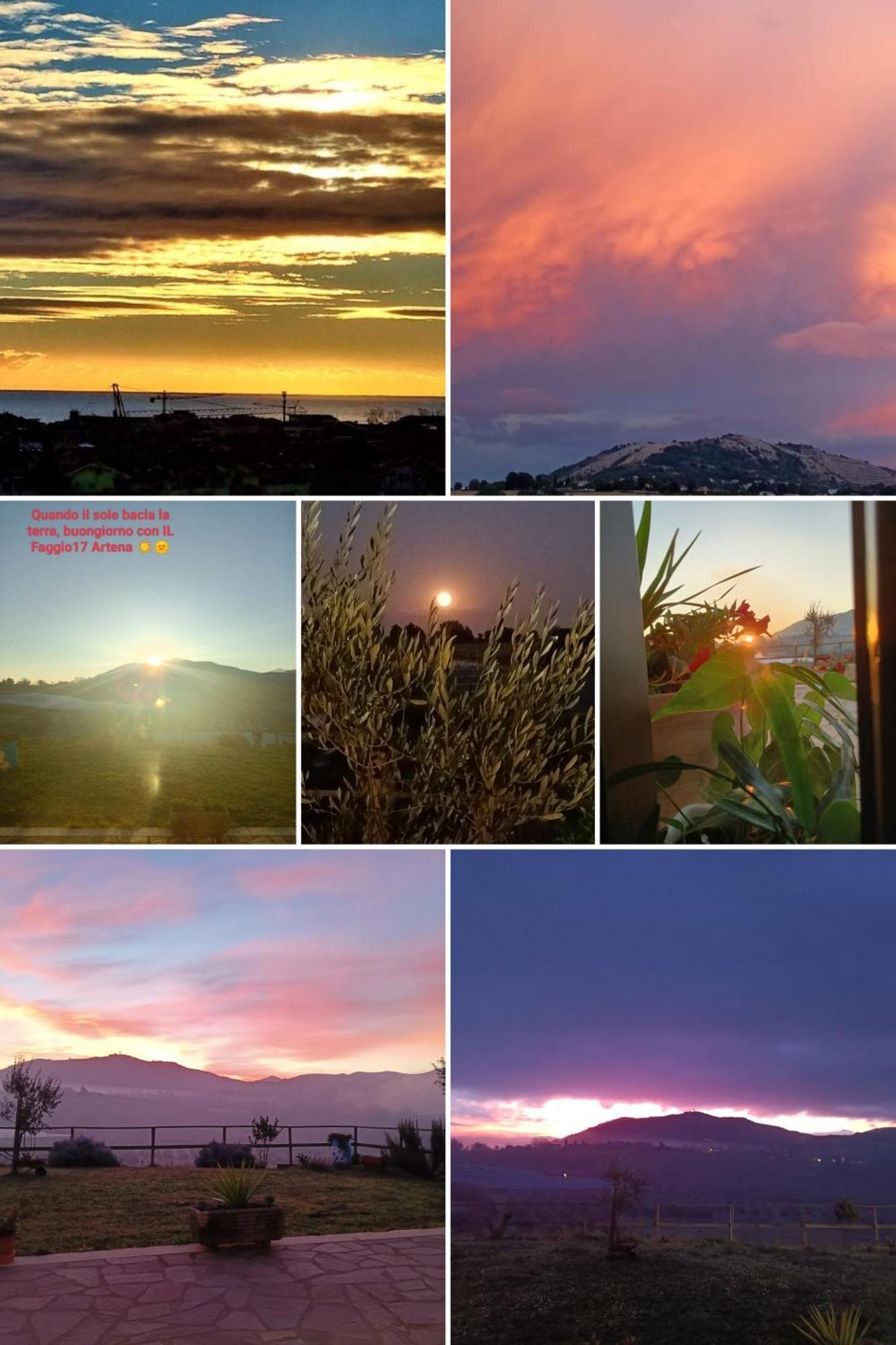 Il Faggio 17 B&B อาร์เทนา ภายนอก รูปภาพ